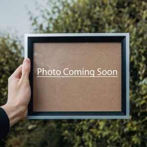 photosoon photosoon